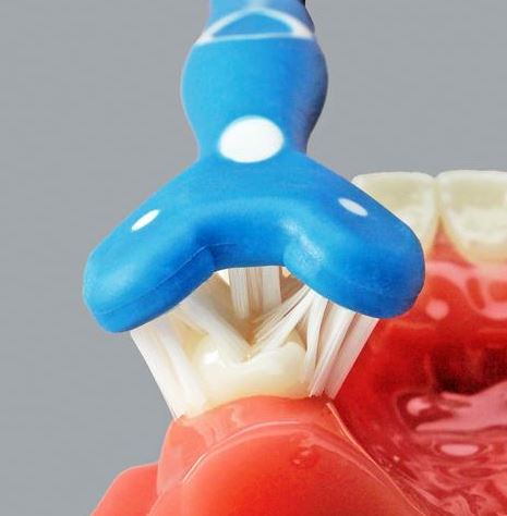 Surround Toothbrush Closeup