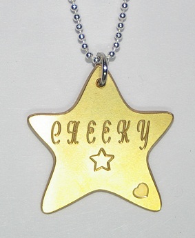 Brass Star Tag