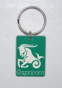 Plastic Zodiac Keyring